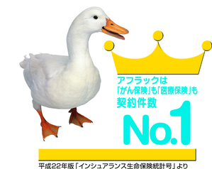 実績No.1のアフラック